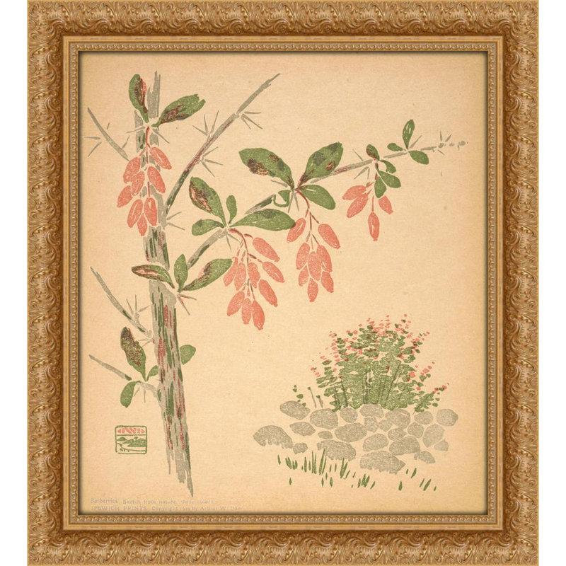 Barberries (1902)