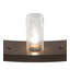 24 - Light Chandelier