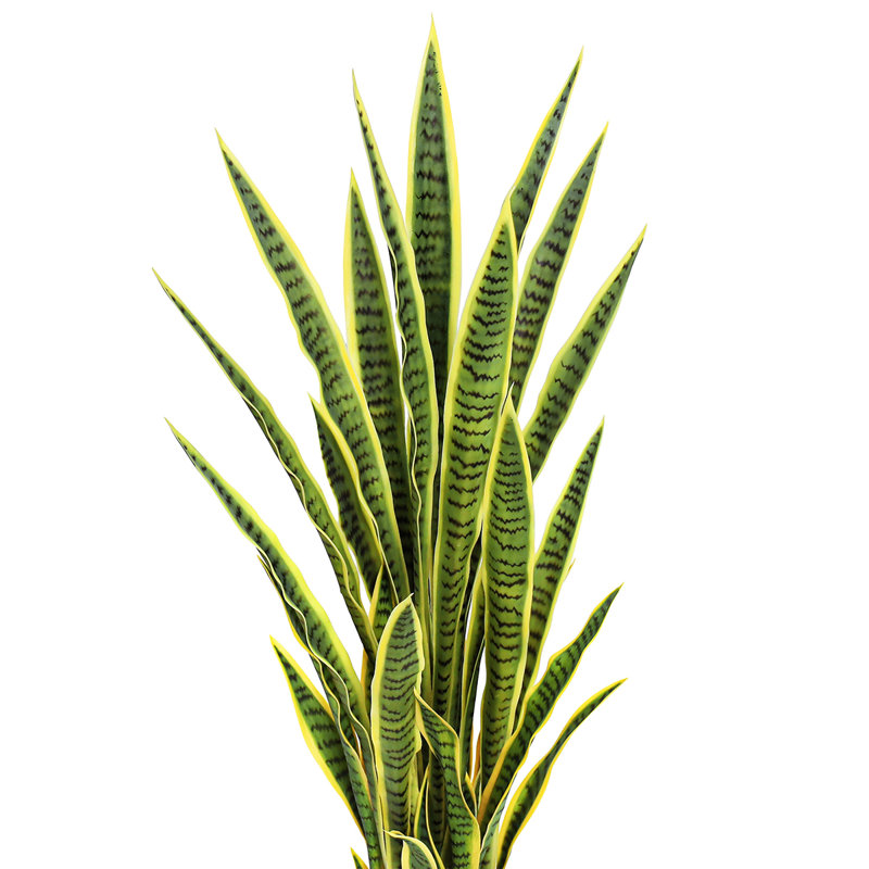 Artificial Sansevieria Snake Plant in Pot, 48" H x 15" W, Yellow