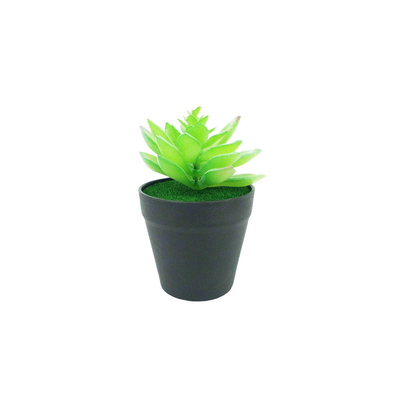 Primrue® 3.5 X 3.5 X 5.5" Diameter Black Planter With Succulent Lotus Last Forever Artificial Green Turf Moss 884EF90DF6D542C691B73B39EAEE4699