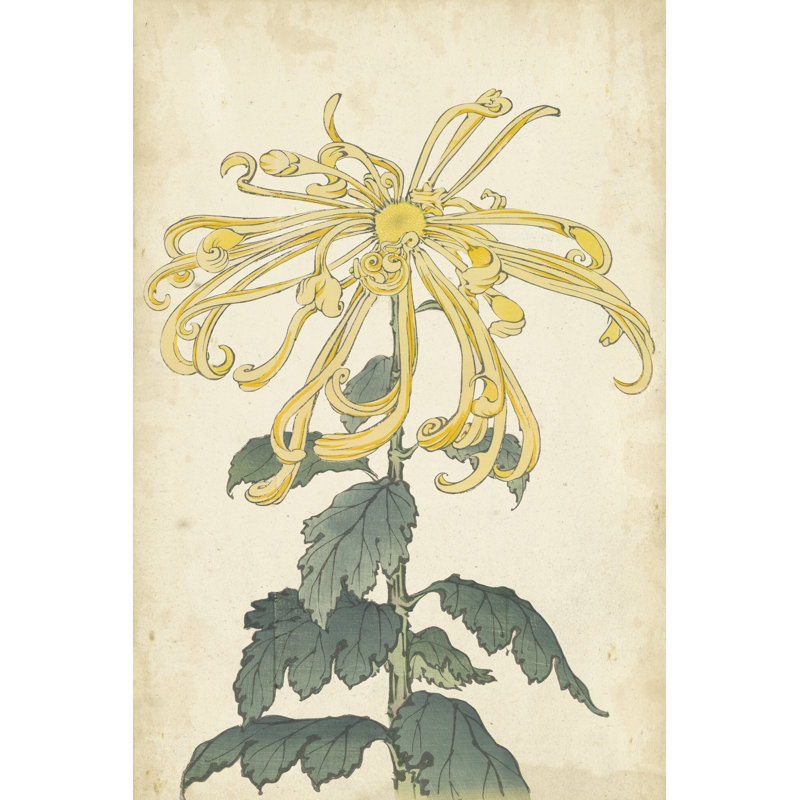 Elegant Chrysanthemums II - Wrapped Canvas Painting, 91cm H x 61cm W x 3.8cm D