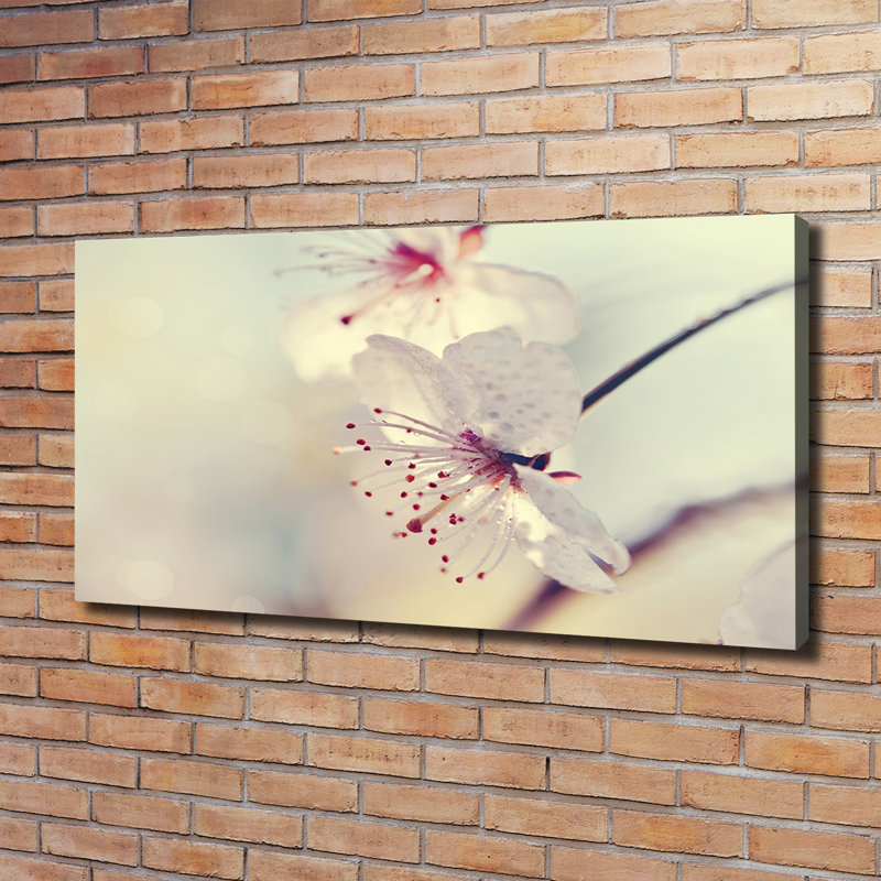 Cherry Blossom - Wrapped Canvas Print, 60cm H x 120cm W