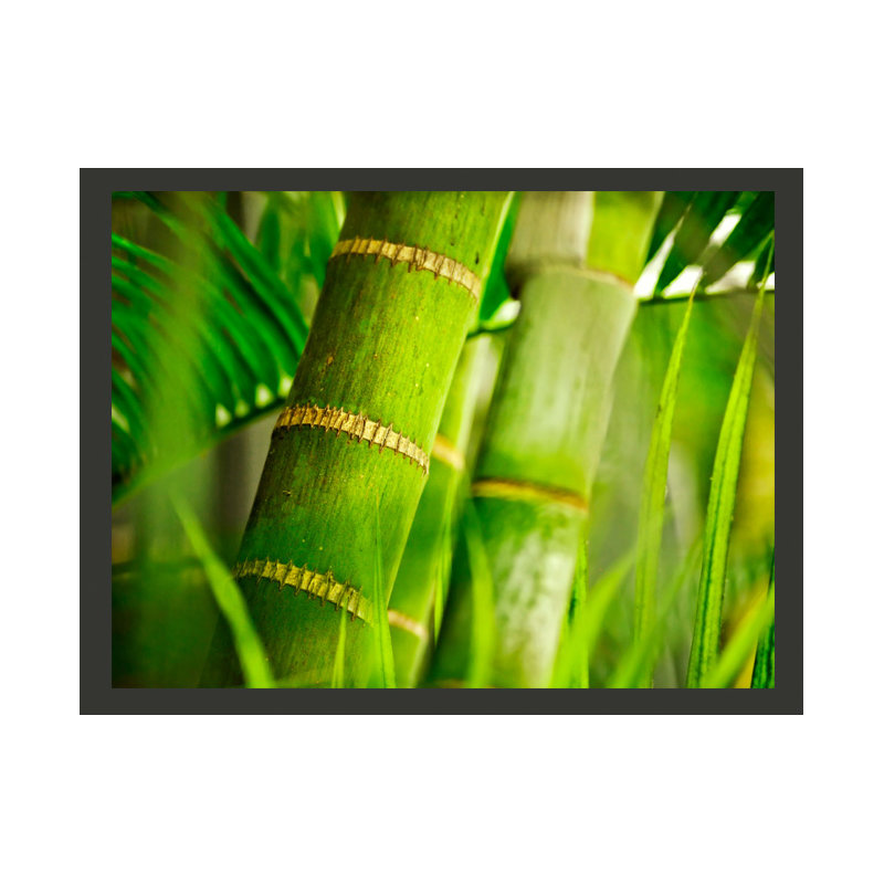 Bamboo Detail 2.31m x 300cm Wallpaper, 350 cm x 270 cm