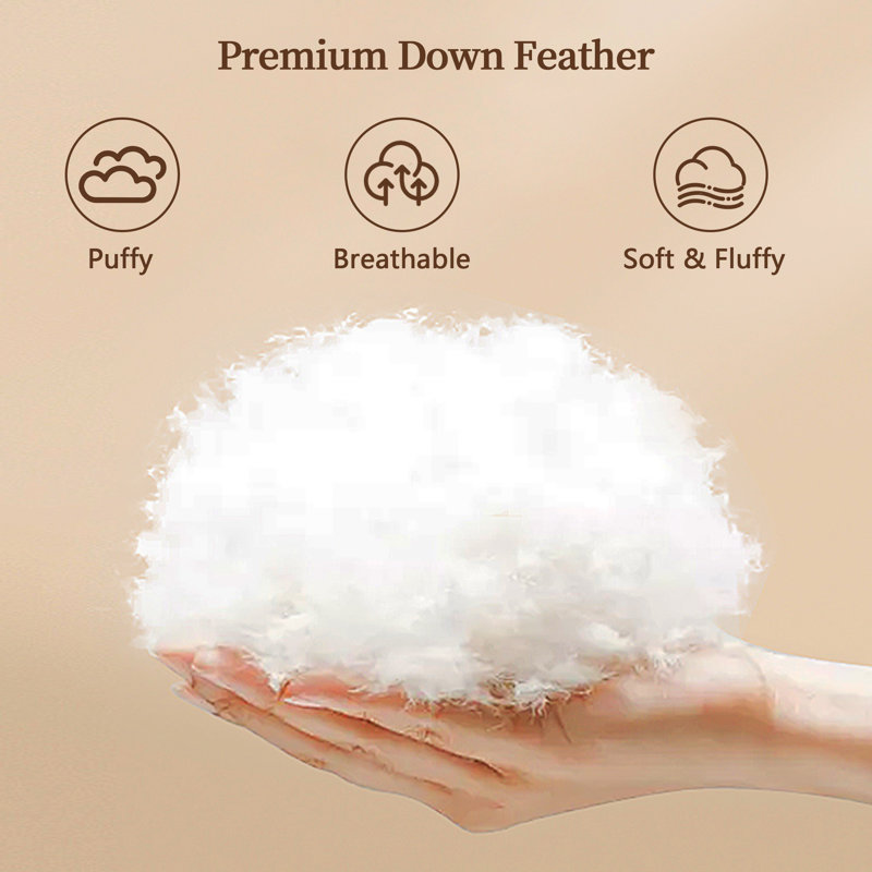 Édredon toutes saisons ultra-moelleux, housse de couette en duvet de plumes de style hôtel avec housse en mélange de coton, chaleur moyenne et hypoallergénique