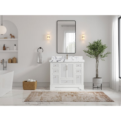 Alys 42'' Single Bathroom Vanity with Top