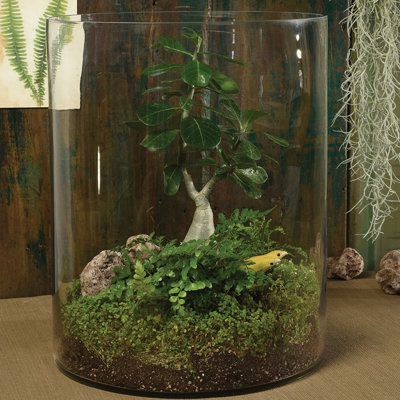 Urbank Glass Table Vase