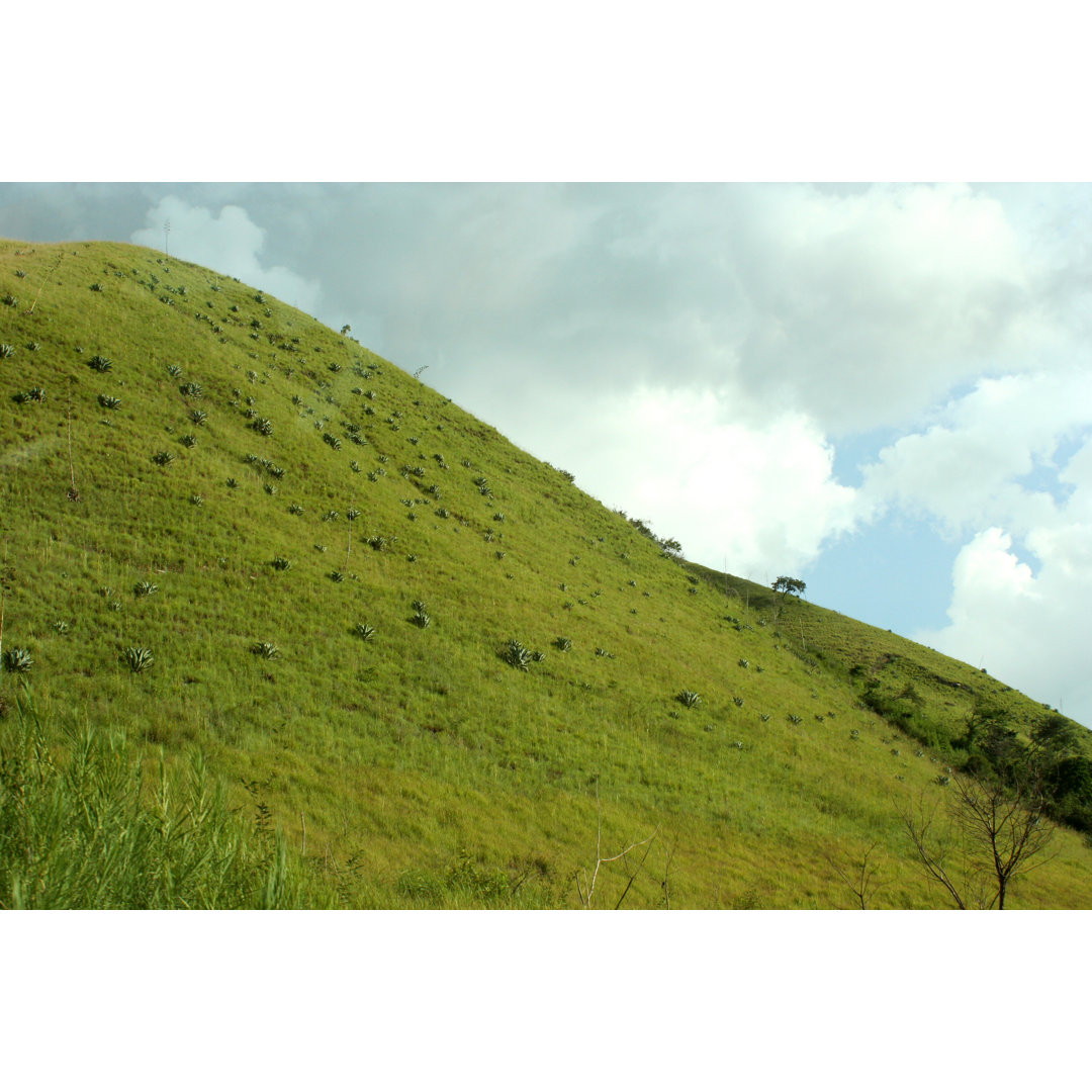 Desktop Hill von Arnwald - Kunstdrucke