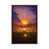 Classic Brown Wood Framed is unavailable
