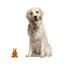 Figurine en bois Clardy Blessing Cat