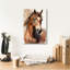 «Horse 1» par Petals Prints Design-1703184666