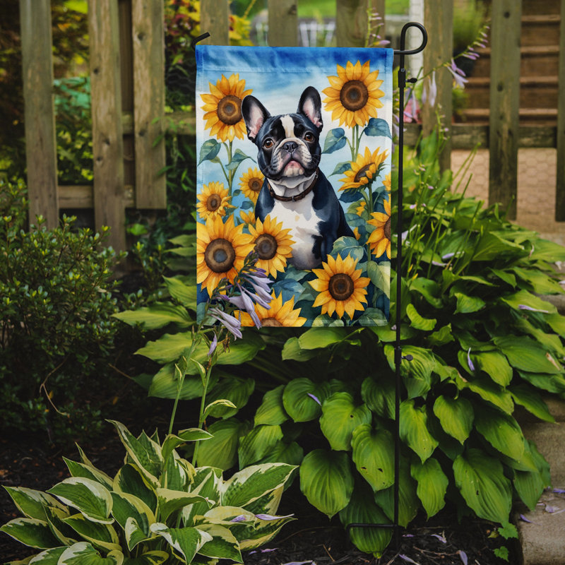 Lévrier irlandais dans le drapeau du jardin de tournesols, Bouledogue français noir