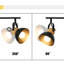 Iron Spotlight