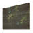 Spruce Pine Tree Forest I - Tree Pine On Wood Print-291189773