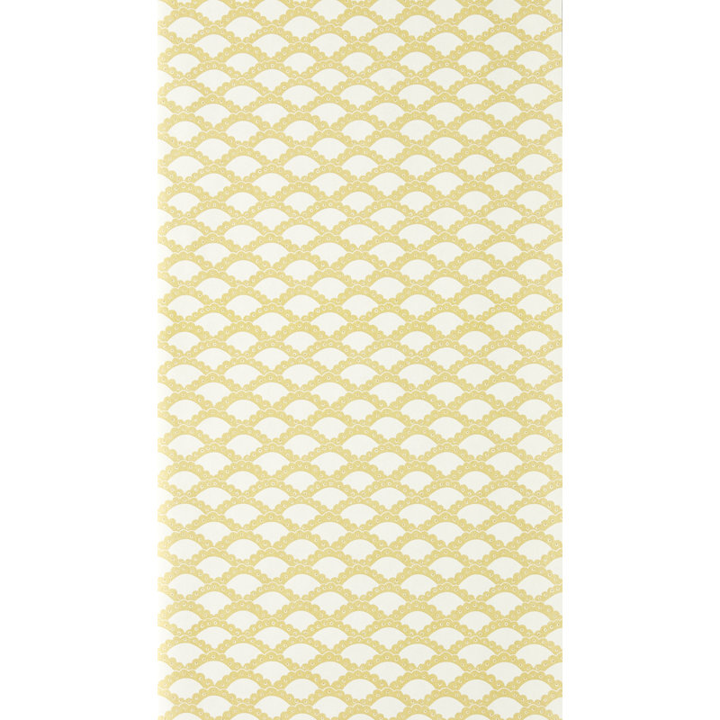 Scallop Frill, Yellow