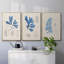 Algues bleu marine VI-91887795-91887796
