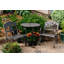Chaise de patio Millar Leaves New