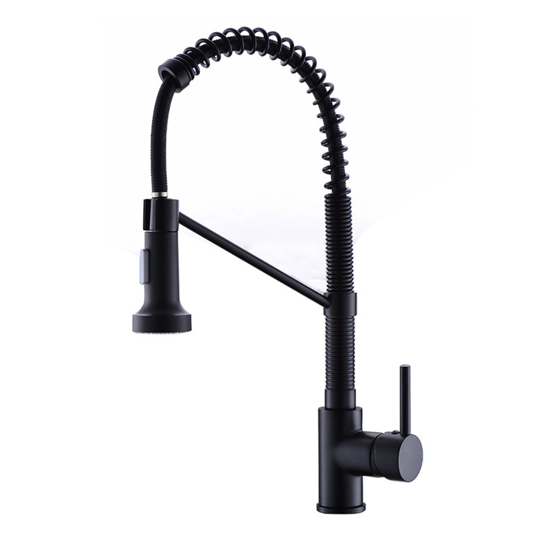 Robinet de cuisine chaud et froid, noir, douchette extractible, laiton massif, robinet de mélange moderne à poignée simple, robinet de régulation de débit