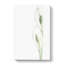 Pair Of White Peace Lilies - Wrapped Canvas Print-55309447