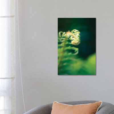 Garden Fern 1 Piece Wrapped Canvas Wall Art