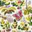 Exotic Butterfly Wallpaper-22437697
