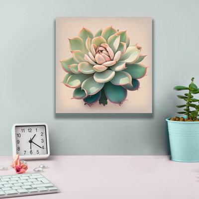'Echeveria Pulidinis' by Incado Canvas Wall Art
