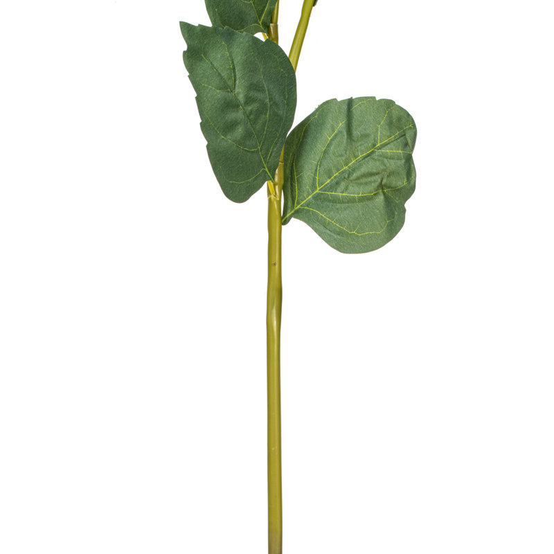 Ranbir Hydrangea Stem, Green