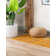 Erables Abstract Indoor Rug