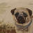 Mina Victory Vintage Pillow Pug Dog Indoor Throw Pillow-112748762-112748767-112748764