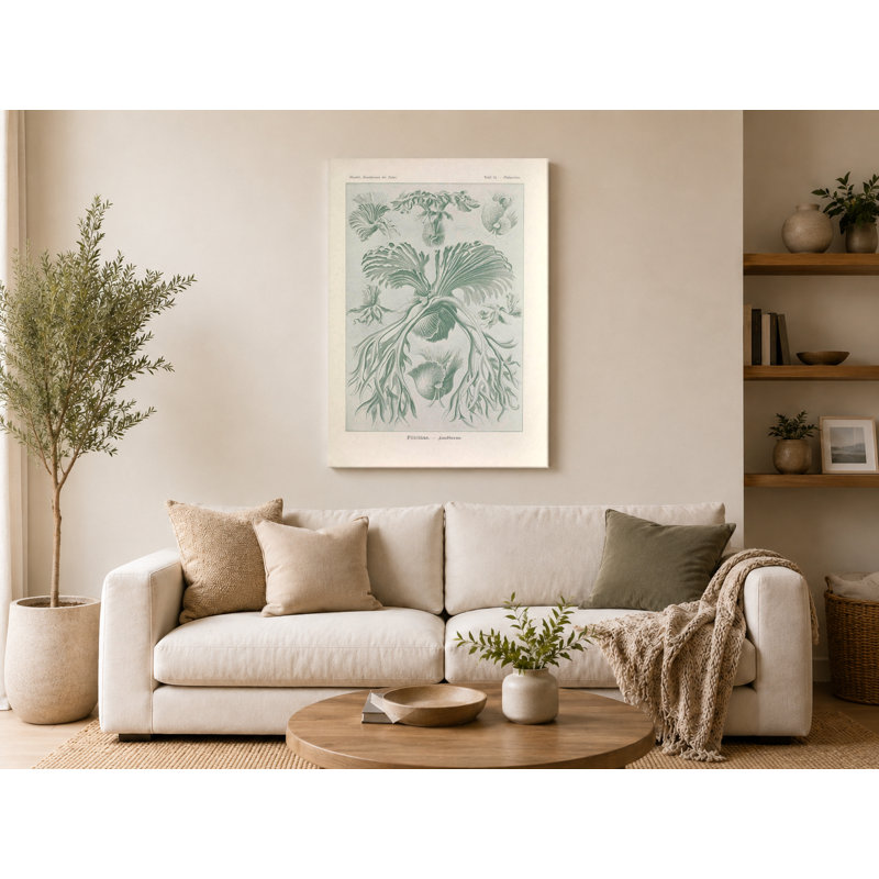 Art mural, Tafel 52 - Filicinae (1904) - Art mural sur toile, 14" W x 11" H