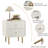 19.6'' Modern 2 - Drawer Nightstand End Table or Side Table for Living Room-1296580665-1338472358
