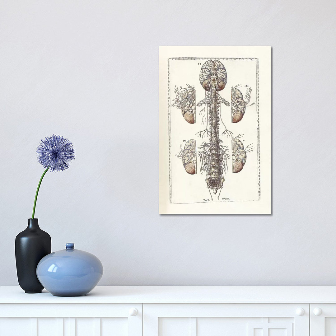 " The Science Of Human Anatomy III " by National Library Of Medicine East Urban Home 