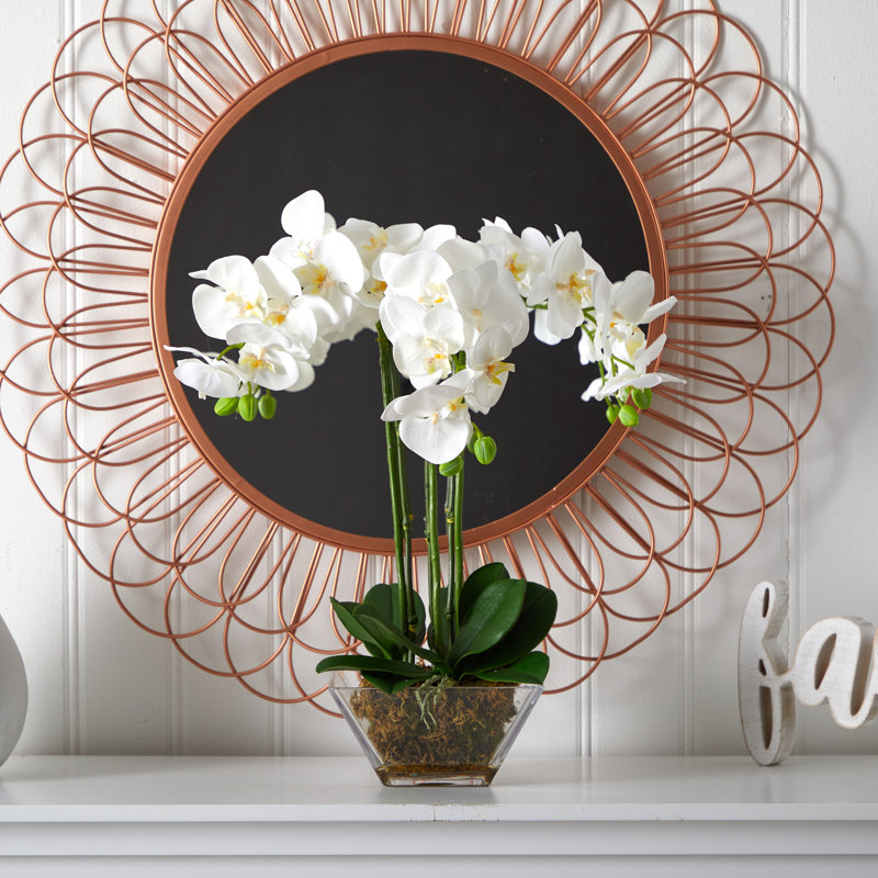 Orchid Arrangement in Vase, 22" H