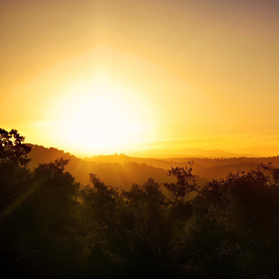 Sonnenaufgang in Kalifornien von RyanJLane - Druck ohne Rahmen auf Leinwand