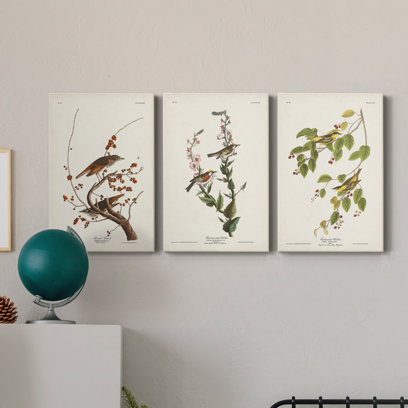 Pl. 58 Hermit Thrush - ensemble de 3 reproductions sur toiles tendues, H 60 po x l 120 po x P 3 po