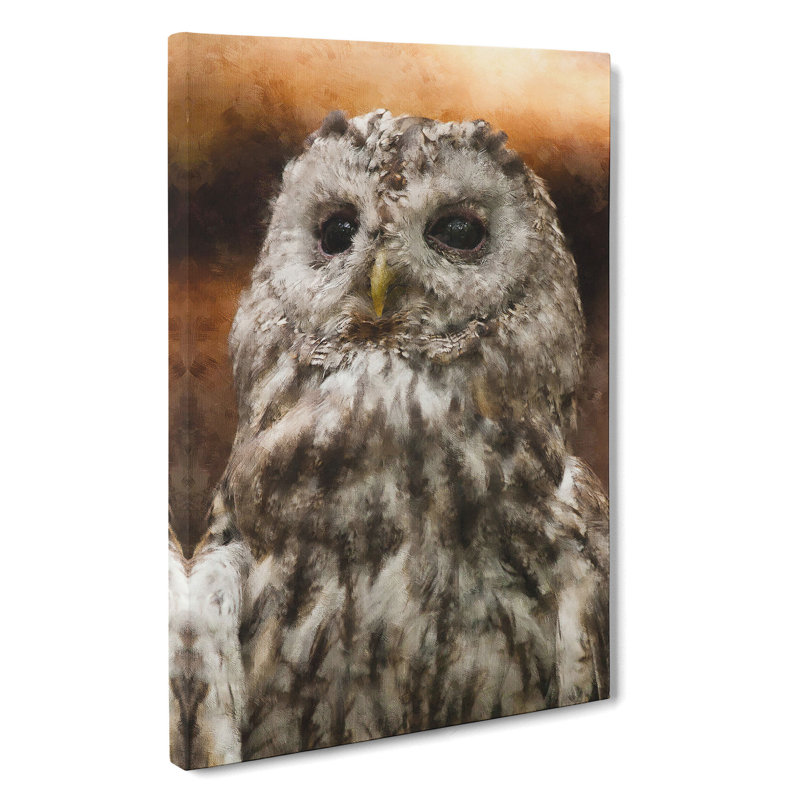 Tawny Owl Vol.1 - Wrapped Canvas, 35cm H x 35cm W x 3cm D