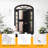 Tiernan 1-Light Outdoor Wall Lantern-1905093551-1905093584