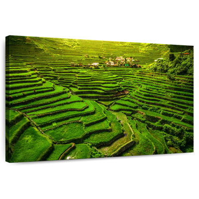 Alvord Historic Ifugao Rice Terraces