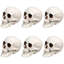 Décorations d'Halloween tête de mort 3,5 po