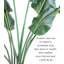 Plante à feuillage artificiel en pot-2009119363