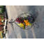 Support pour plante Maines