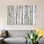" Birch Wood " by PhotoINC Studio-21470637-74611720-74611721