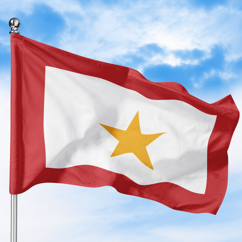 Drapeau familial Gold Star pour extérieur (122 x 183 cm) - Polyester durable et résistant à la décoloration, double couture, œillets en laiton - Impression HD - Drapeau de service civil - Fabriqué aux États-Unis