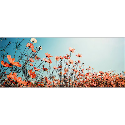 White & Red Flowers Photographic Art Print on Glass