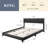 Litta Upholstered Platform Bed-165005750-165005755
