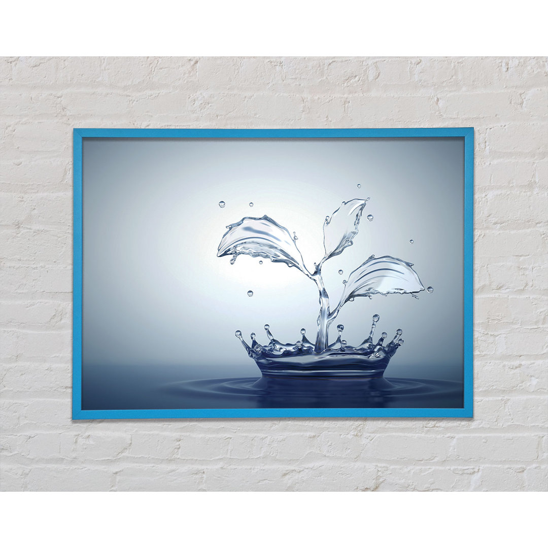 Water Splash Plant - Einzelner Bilderrahmen Kunstdrucke