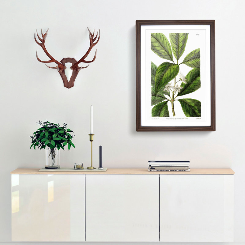 Flowering Tristania Plant - Picture Frame Painting Print, 48cm H x 36cm W x 2cm D, Walnut Framed