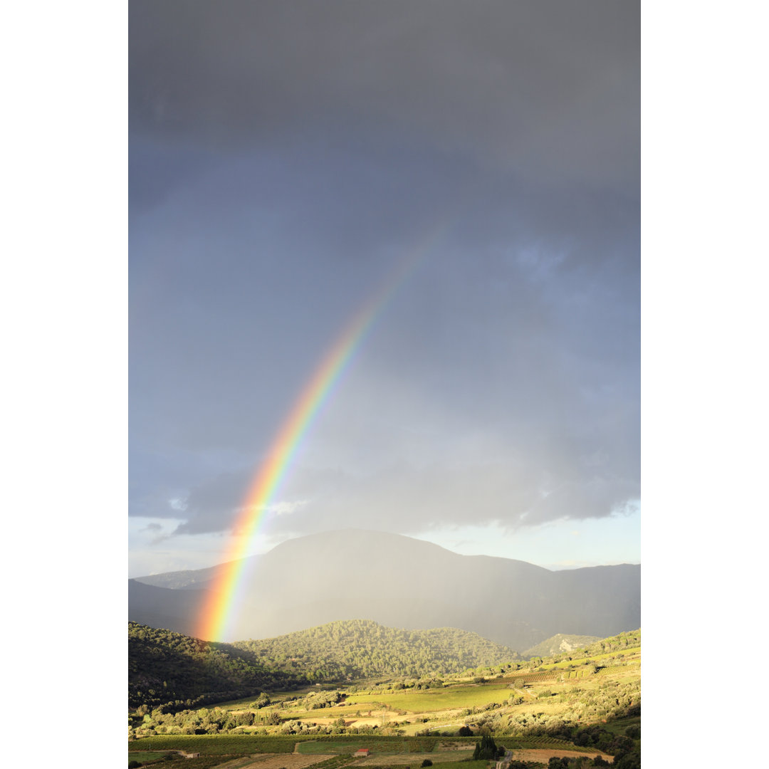 Rainbow In The Sky von Bunhill - Druck