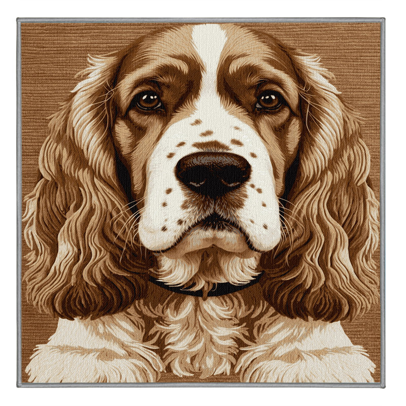  Tapis lavable avec épagneul Springer English, Carré 5 pi