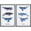 «White Mid-Century Modern Organic Polygon», 2 pièces-98554704-98554705