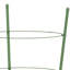 Antipus Metal Plant Support-794521519